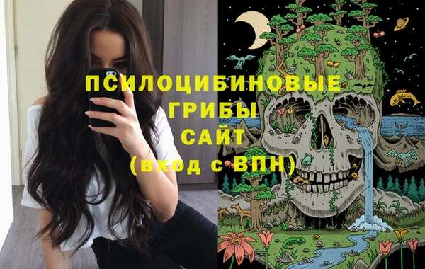 ECSTASY Вяземский