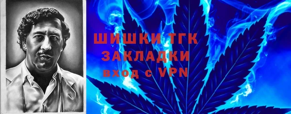 ECSTASY Вяземский