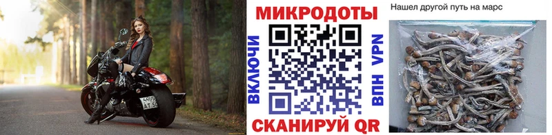 Псилоцибиновые грибы мухоморы  Купить  Гдов 